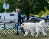 20250830-DSC03979