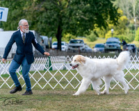 20250830-DSC04001
