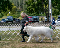 20250830-DSC04016