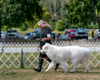 20250830-DSC04021