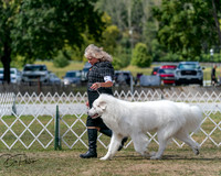 20250830-DSC04022