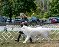 20250830-DSC04027