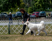 20250830-DSC04042
