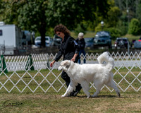 20250830-DSC04053