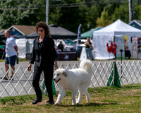 20250830-DSC04071