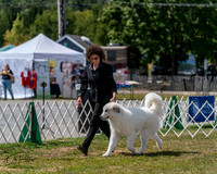 20250830-DSC04059