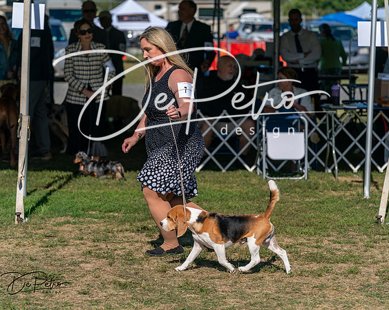 20250830-DSC04759