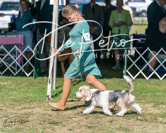 20250830-DSC04725