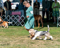 20250830-DSC04729