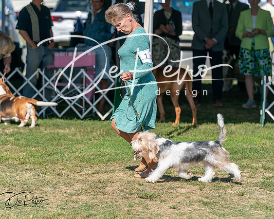 20250830-DSC04729