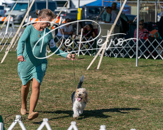 20250830-DSC04751