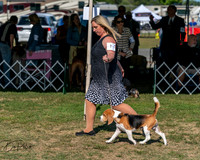 20250830-DSC04766