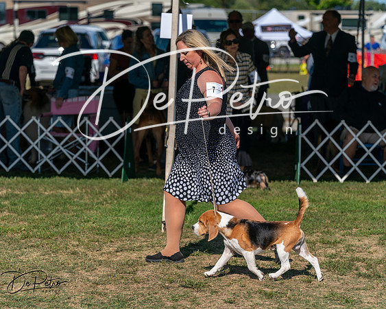 20250830-DSC04766