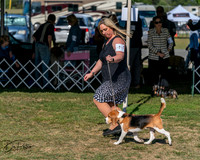 20250830-DSC04770