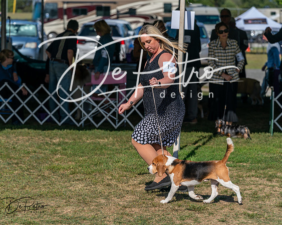 20250830-DSC04770