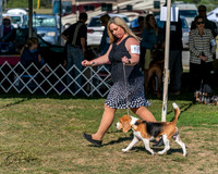 20250830-DSC04773