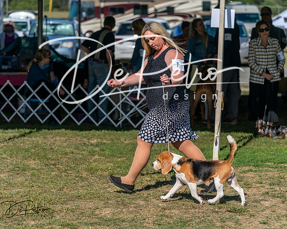 20250830-DSC04773
