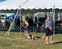 20250830-DSC04779