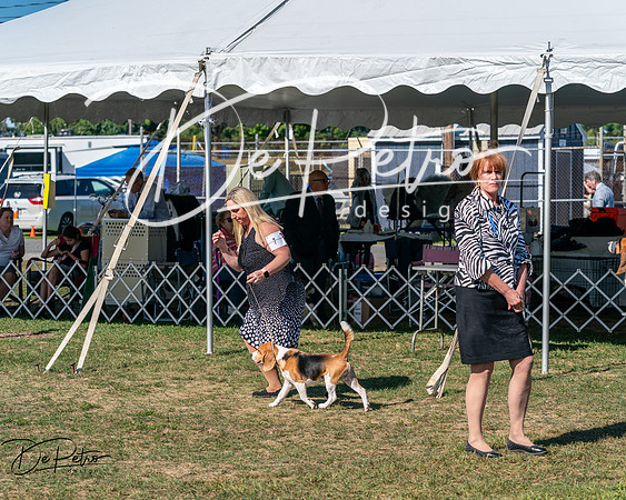 20250830-DSC04779