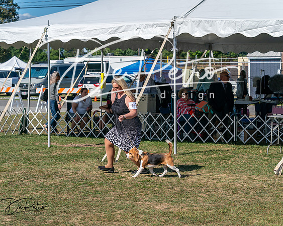 20250830-DSC04790