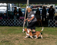 20250830-DSC04829