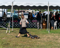 20250830-DSC04849