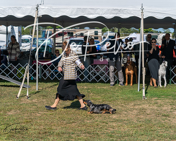 20250830-DSC04849