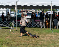 20250830-DSC04852