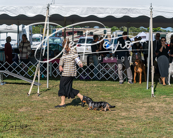 20250830-DSC04852