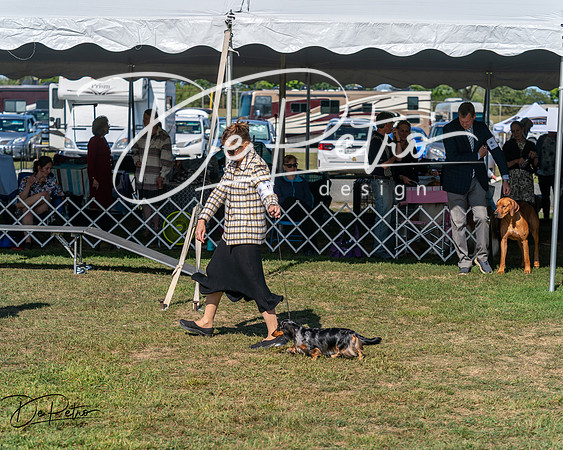 20250830-DSC04857