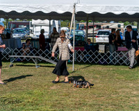 20250830-DSC04863