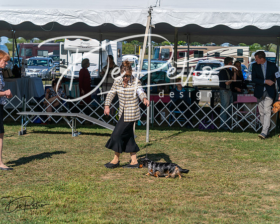 20250830-DSC04863