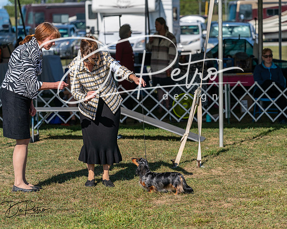 20250830-DSC04867