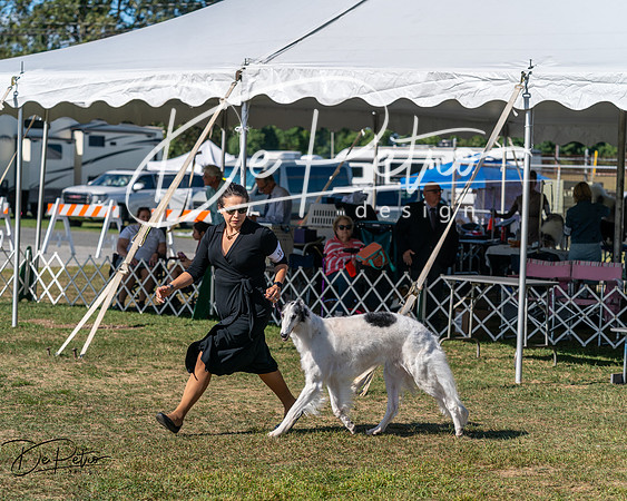 20250830-DSC04876