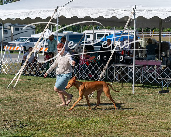 20250830-DSC04887