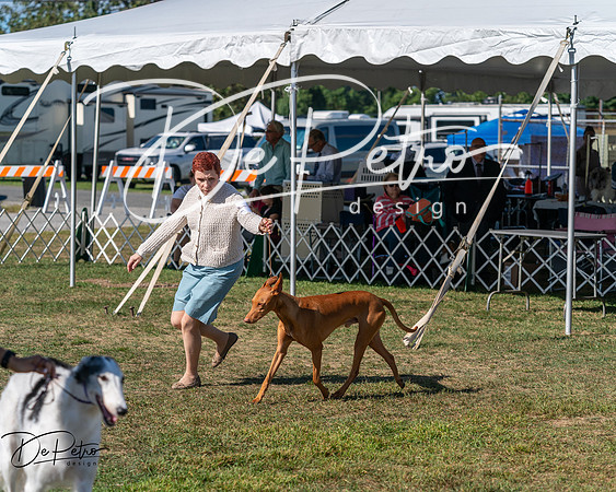 20250830-DSC04892