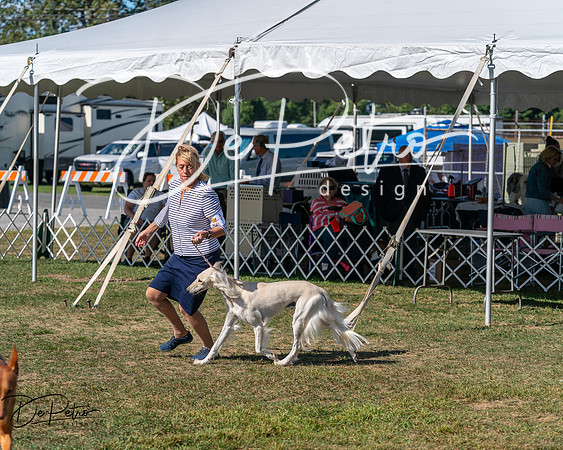 20250830-DSC04903