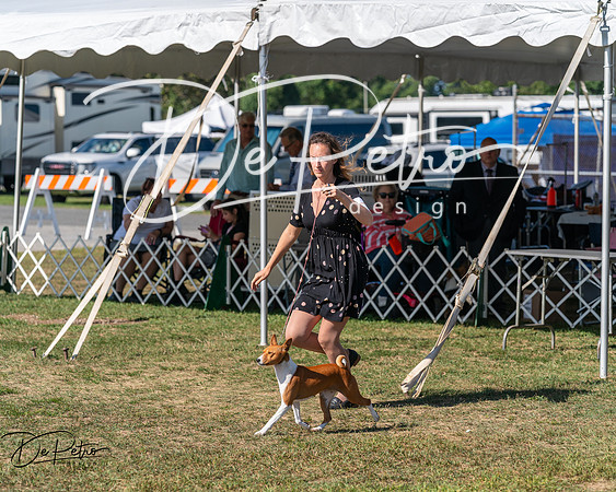 20250830-DSC04935