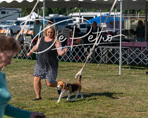 20250830-DSC04962