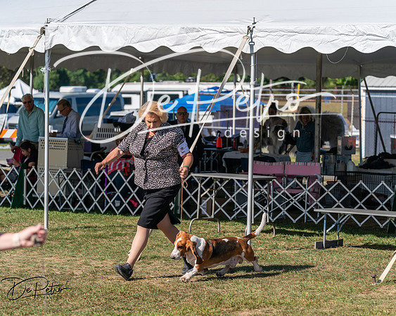 20250830-DSC04970