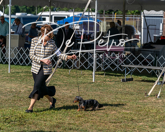20250830-DSC04984