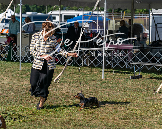 20250830-DSC04987