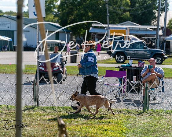 20250830-DSC05093