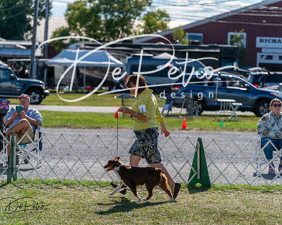20250830-DSC05108