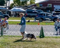 20250830-DSC05128