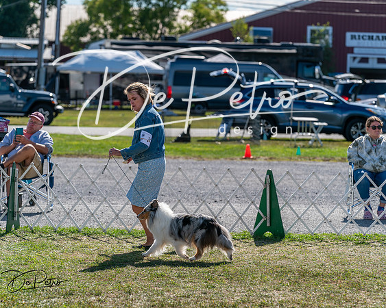 20250830-DSC05128