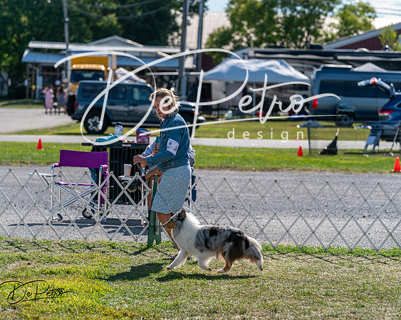 20250830-DSC05136