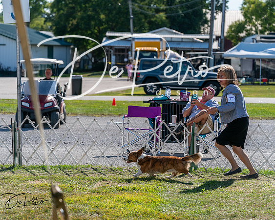 20250830-DSC05145