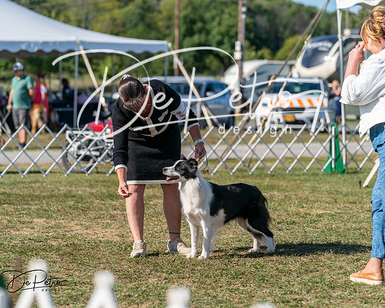 20250830-DSC05184