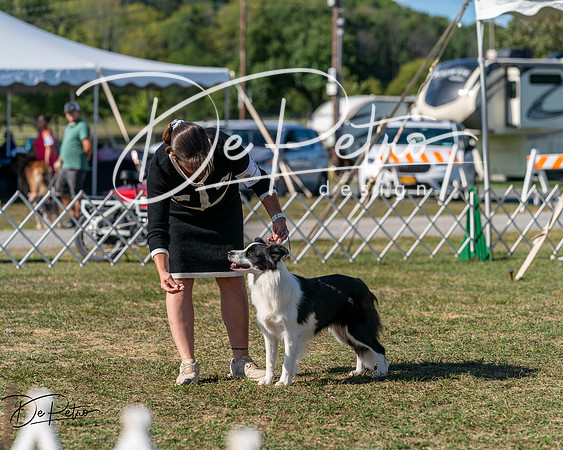 20250830-DSC05183